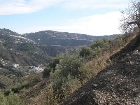 Terreno en Venta Canillas de Albaida
