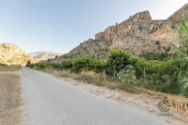 Finca Tropical en Venta Velez de Benaudalla