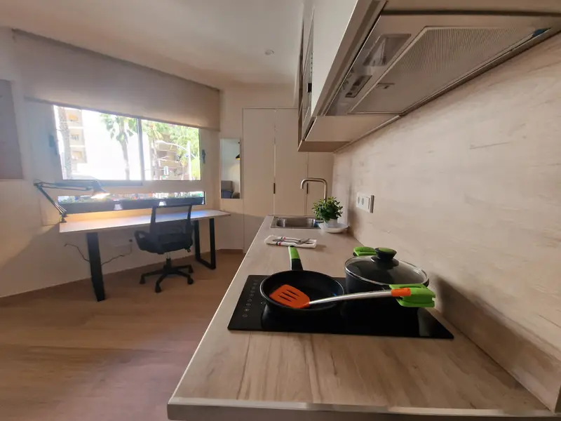 Estudio Moderno 30m2 San Vicente del Raspeig Cerca Universidad Alicante