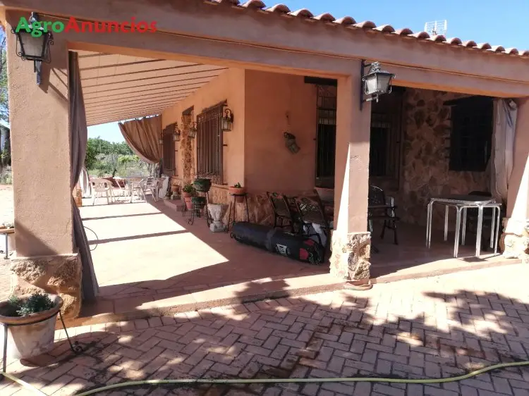 Venta  de Finca de viñedo con chalet y nave en Ciudad Real