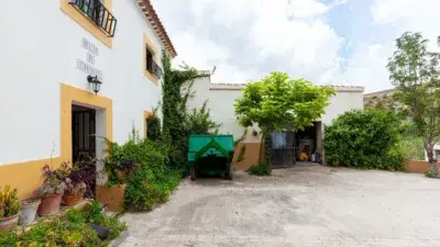 Finca rústica en venta en Calle Molino Turruquena, Número 0