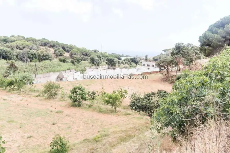 Parcelas Rusticas en Venta Mataro Alta Rentabilidad