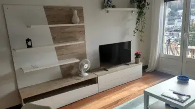 Alquiler Piso Euskadi Etorbidea 2 Dormitorios