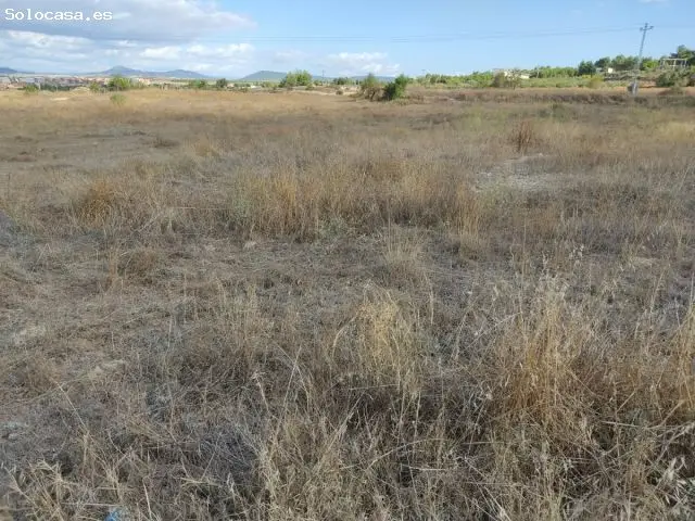 Parcela en Almansa zona San Roque 600m2