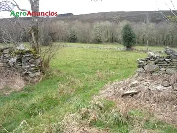 Venta  de Casa de piedra en Lugo