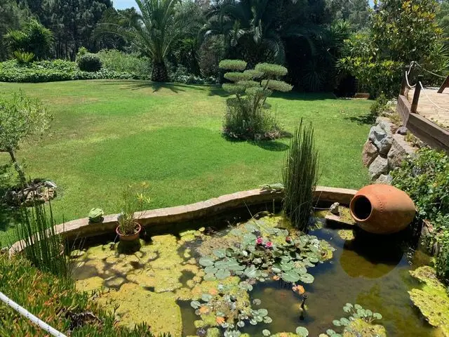 Venta Casa Lloret Blau 5200m2 Jardin Japones Piscina