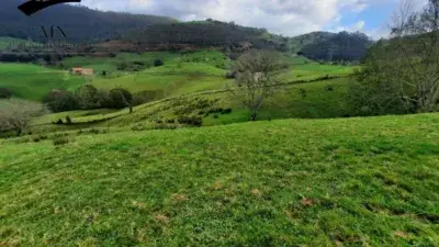 Finca Rustica Valle de Ruesga 3 Hectareas Cabaña 68m2