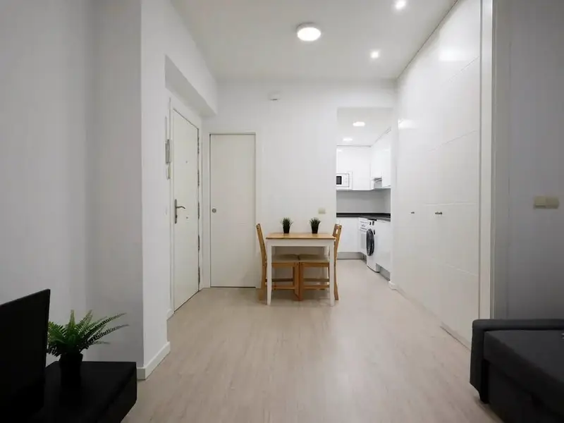 Apartamento en Alquiler Madrid 1 Dormitorio 1 Ba

Atico