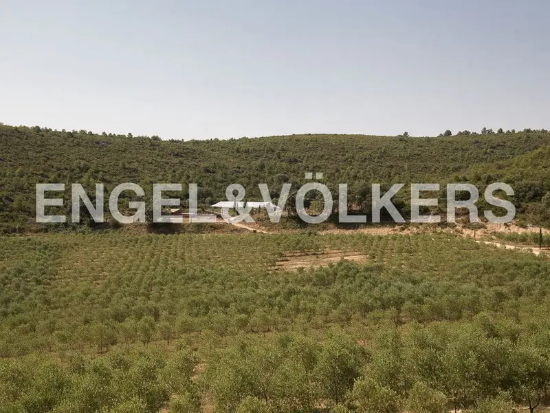 Finca Rustica con Casa Rural en Enguera Valencia