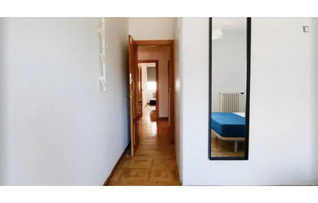 Alquiler 8 habitaciones Madrid La Latina céntrico