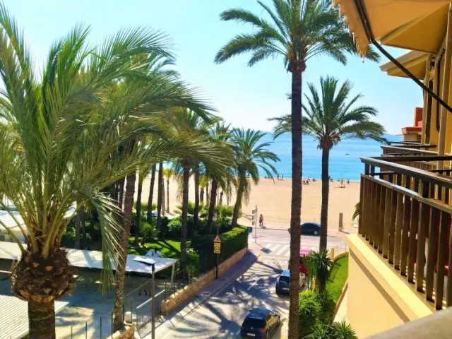Apartamento 1 Dormitorio Alquiler Benidorm Playa Poniente