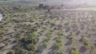 Finca Rustica en Venta Les Borges Blanques