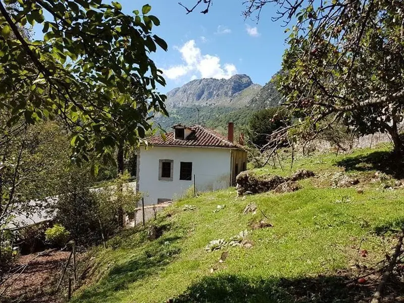 venta Chalet en Llonin, Asturias (C600)- Globaliza