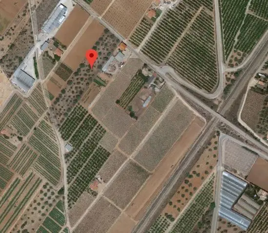 Venta Solar Rustico Benicarló 7842m2 Olivos Agua