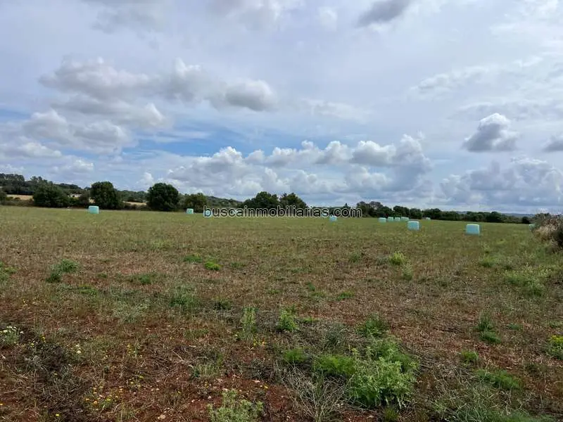 Parcela rústica en venta en Sencelles