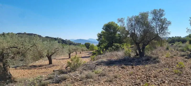 Terreno en Venta con Vistas Panor	micas en Torrevieja