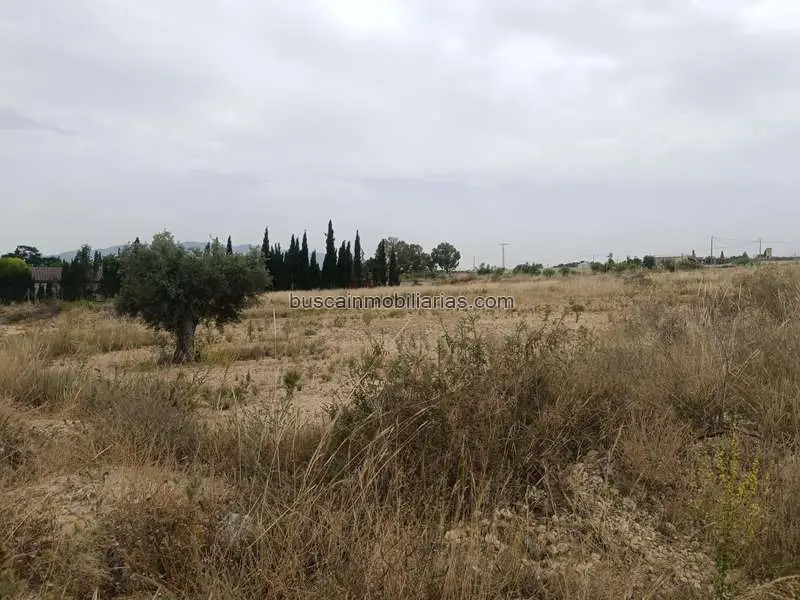 Parcela Rustica en Venta Murcia Sangonera la Seca