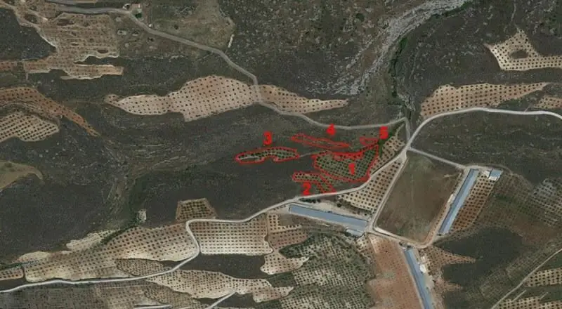 Venta Finca Padul 8148m2 Almendros Sierra Nevada