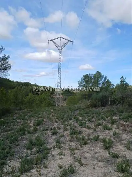 Parcela Rustica en Venta Corbera de Ebre 81401m2