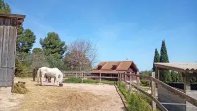 Finca Rustica Montserrat 6500m2 5 Caballos Vistas al Mar