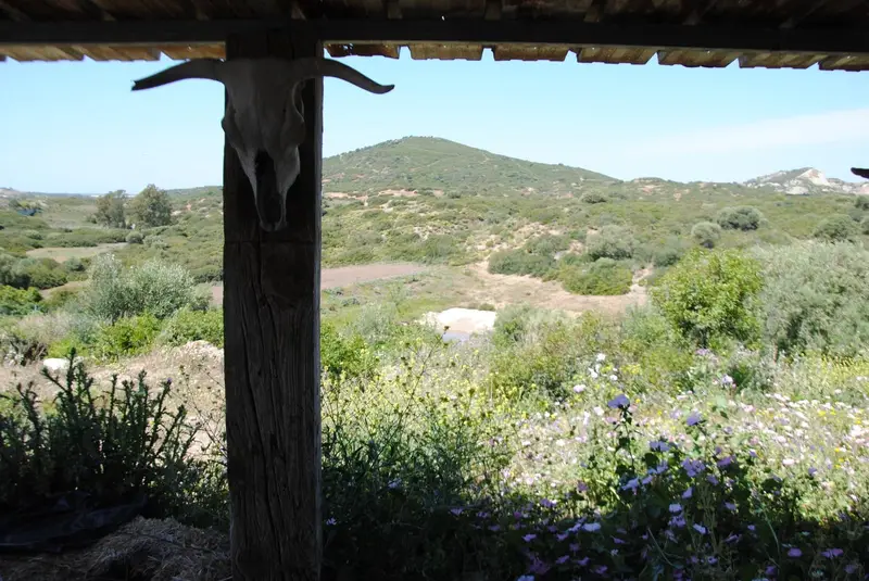 Finca Rustica en Venta cerca de Medina Sidonia