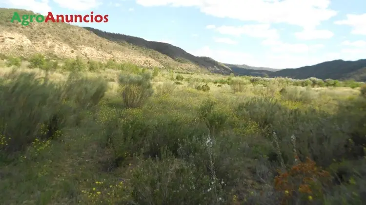 Venta  de Terreno de regadío en Tarragona