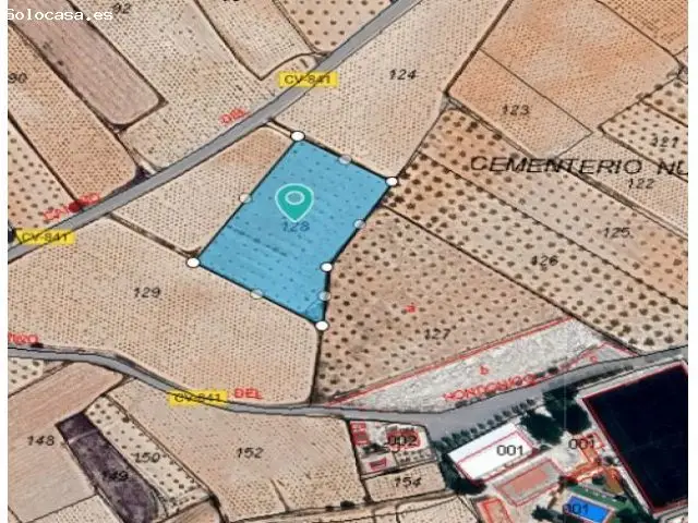 Parcela Agricola en Venta Algueña Alicante