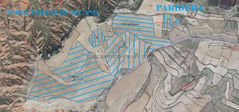 Parcela Agricola 19 Hectareas Teruel Cultivo Trufa