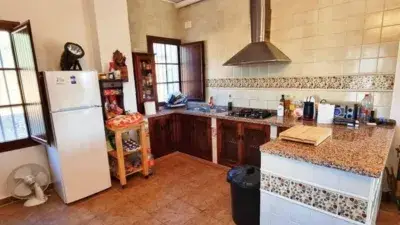 Casa Rústica en Venta Zufre 240m2 187 Has