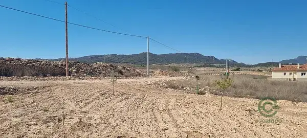 Terreno 15469m2 Vistas Panorámicas Murcia Jumilla