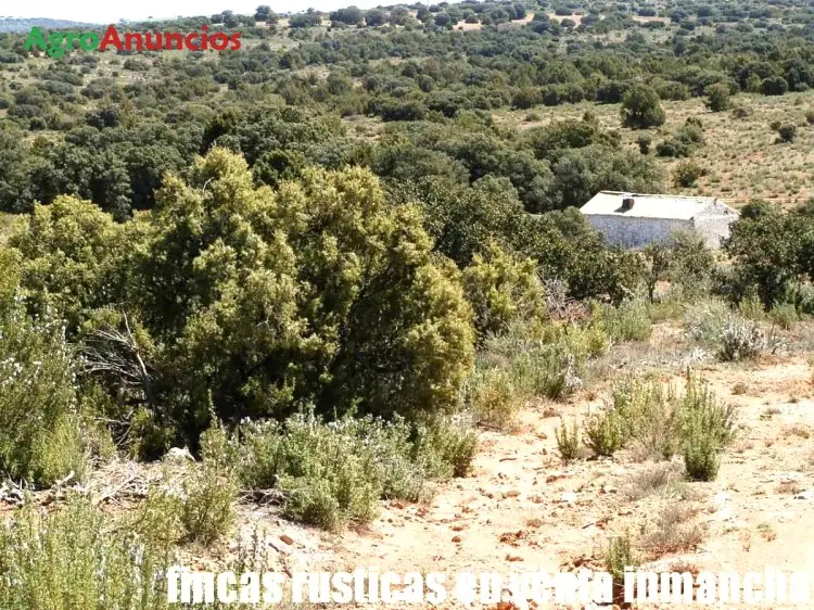 Venta  de Finca rústica con coto de caza en Albacete