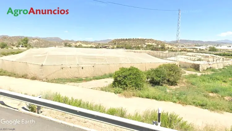 Venta  de Finca con invernaderos y tierra de regadío en Almería