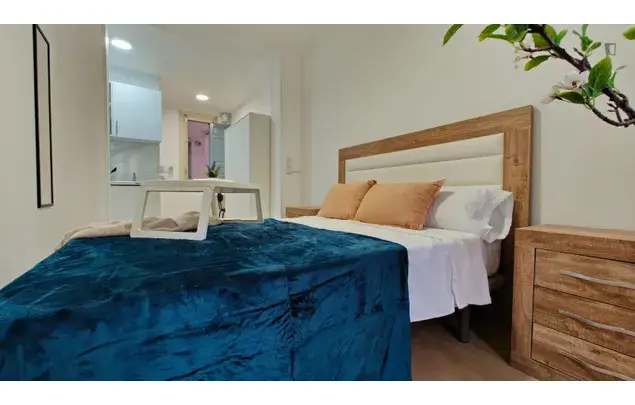 Alquiler Apartamento 5 Dormitorios Madrid Centro