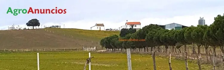 Venta  de Finca de recreo en Toledo