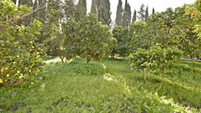 Espectacular Finca Rústica con Piscina y 7 Dormitorios