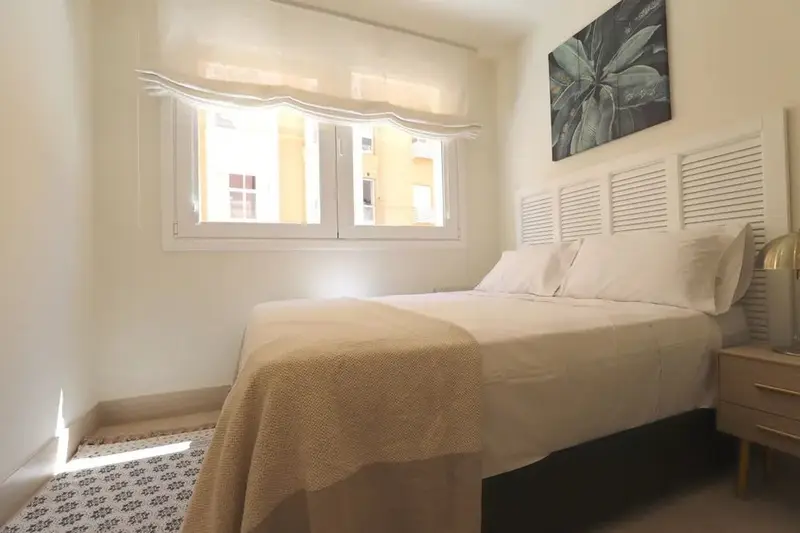 Apartamento en Alquiler Madrid 1 Dormitorio 1 Ba
	

