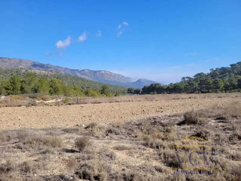 Venta Finca Rustica Monovar 119907m2 Inversión Aldea Rural