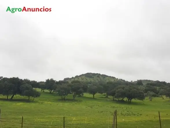 Alquiler  de Finca ganadera en Jaén