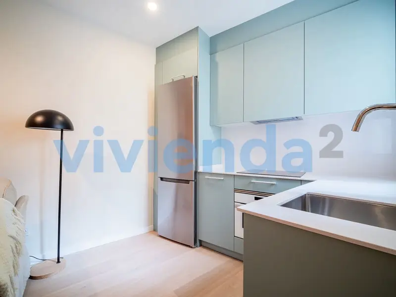 Alquiler piso 2 dormitorios Chopera Madrid