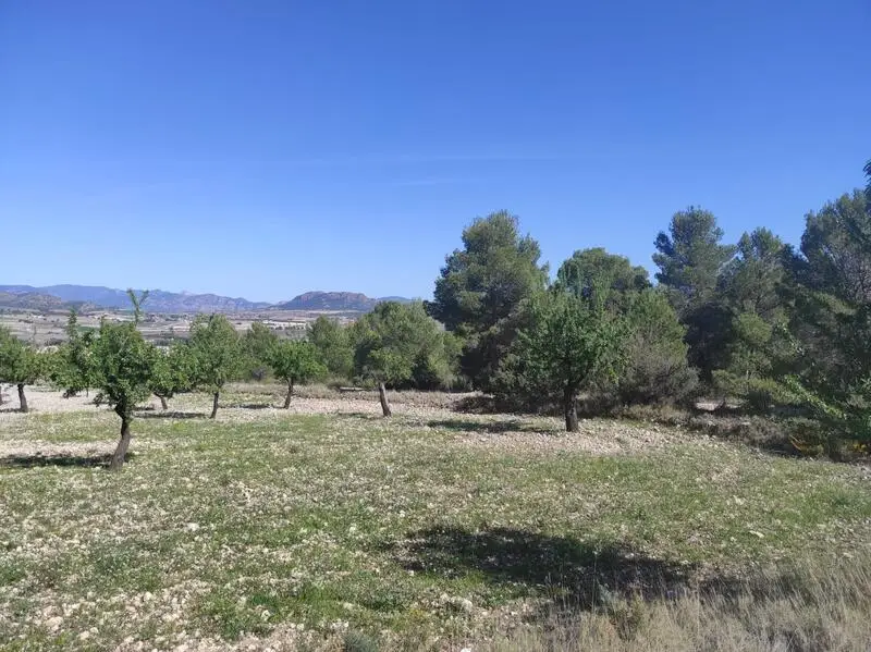 Terreno en Salinas Alicante con Vistas a la Montana
