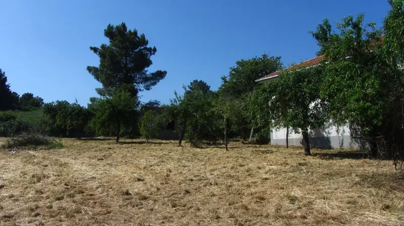 Finca/Casa Rural en venta en Sober, Lugo