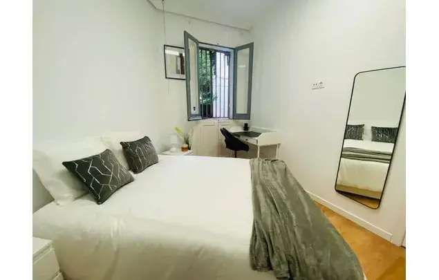Habitacion en Madrid Calle Rafael Calvo Estancia Media Larga