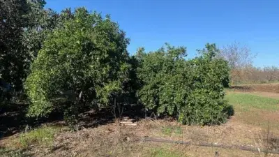 Finca rústica en venta en Las Cabezas de San Juan