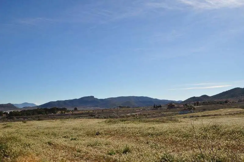 Terreno en Venta Chinorlet Alicante 350m2
