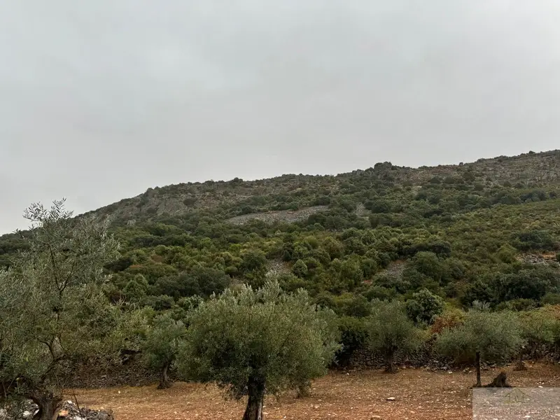 Venta Terreno en Cabeza del Buey 236 Hectareas