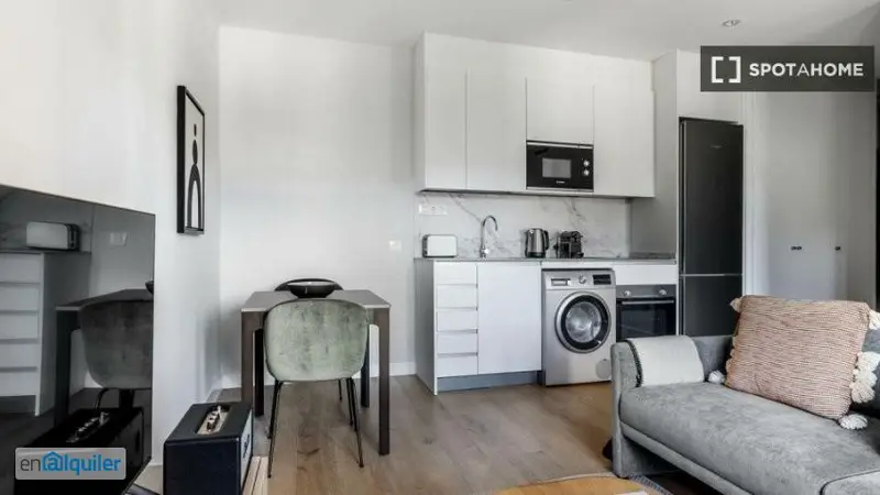 Apartamento 1 Dormitorio Madrid Alquiler