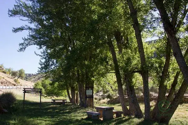 Finca Rustica con Viña en Frailes Jaen 3566m2