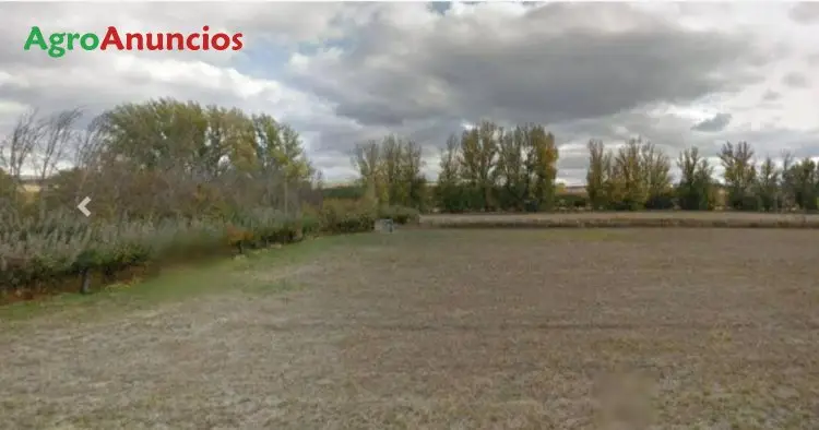 Venta  de Finca rústica en León