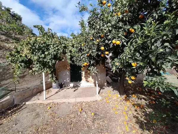 Finca Rústica en Málaga Algarrobo 6826m2