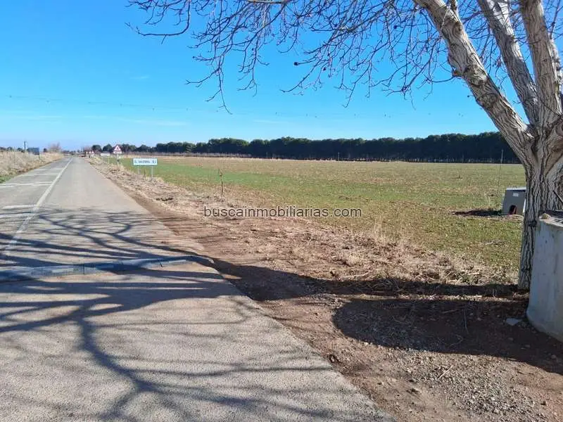 Parcela Rustica 4 Hectareas Riego Albacete